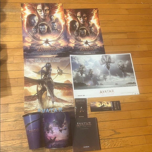 Avatar BUNDLE 2025 Fire and Ash Ticket, Posters, Pin, Notebook Friend Fam NEW - Picture 11 of 12